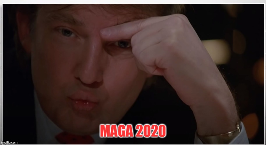 trump | MAGA 2020 | image tagged in donald trump approves | made w/ Imgflip meme maker