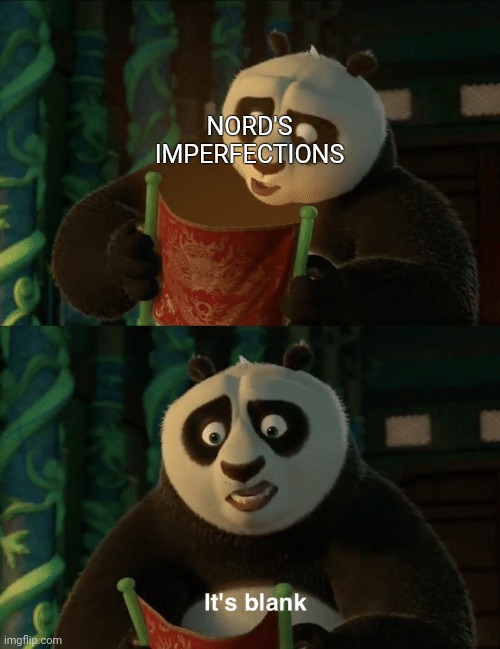 Nord's imperfections | NORD'S IMPERFECTIONS | image tagged in kung fu panda blank | made w/ Imgflip meme maker