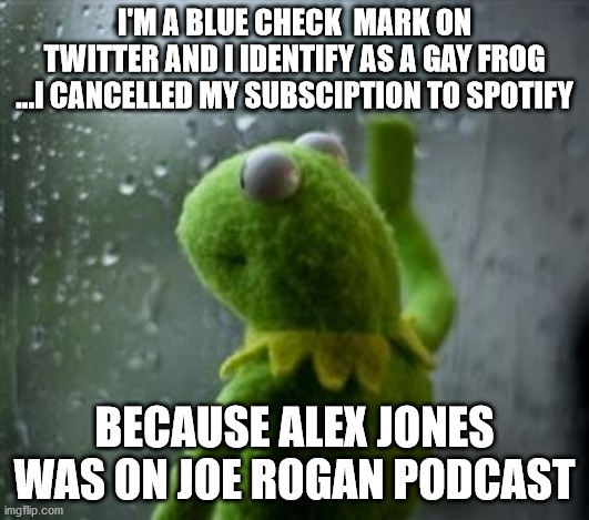 sad kermit at window | I'M A BLUE CHECK  MARK ON TWITTER AND I IDENTIFY AS A GAY FROG ...I CANCELLED MY SUBSCIPTION TO SPOTIFY; BECAUSE ALEX JONES WAS ON JOE ROGAN PODCAST | image tagged in sad kermit at window | made w/ Imgflip meme maker