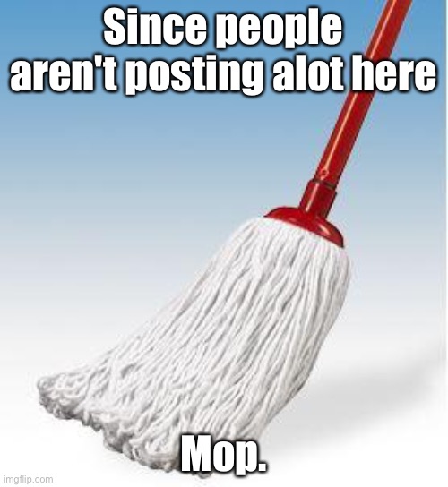 Mop. | Since people aren't posting alot here; Mop. | image tagged in noble mop fighter | made w/ Imgflip meme maker