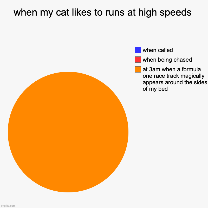 My damn cat | when my cat likes to runs at high speeds | at 3am when a formula one race track magically appears around the sides of my bed , when being ch | image tagged in charts,pie charts,cats | made w/ Imgflip chart maker