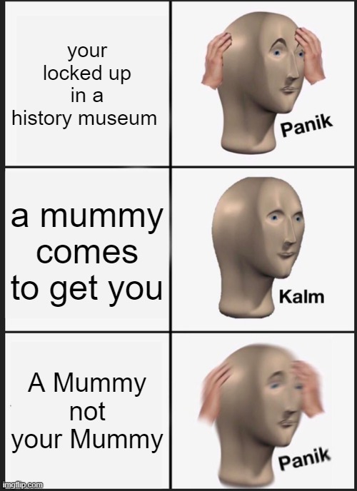 meme | your locked up in a history museum; a mummy comes to get you; A Mummy not your Mummy | image tagged in memes,panik kalm panik,meme man,funny | made w/ Imgflip meme maker