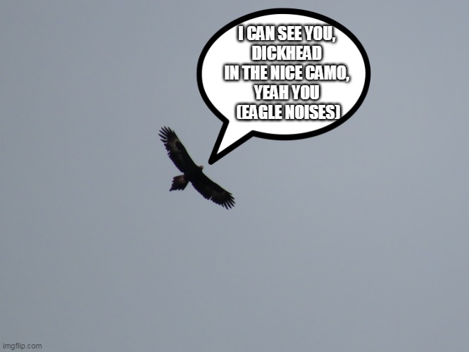 I CAN SEE YOU, 
DICKHEAD 
IN THE NICE CAMO, 
YEAH YOU 
(EAGLE NOISES) | image tagged in eagle camo | made w/ Imgflip meme maker