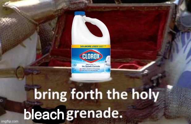 Bring forth the holy bleach grenade | image tagged in bring forth the holy bleach grenade | made w/ Imgflip meme maker