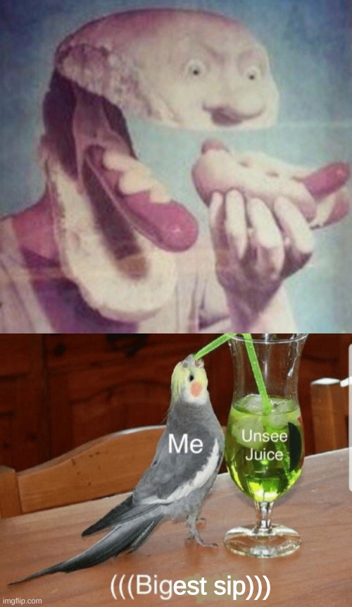 *large sip intensifies* | est sip))) | image tagged in unsee juice,memes,slava255,funny,daily meme | made w/ Imgflip meme maker