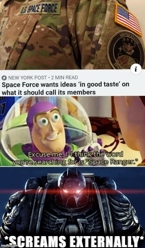 Thats cute | image tagged in space force,space marines,buzz lightyear | made w/ Imgflip meme maker