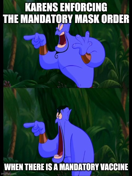 Aladdin Surprised Genie Jaw Drop | KARENS ENFORCING THE MANDATORY MASK ORDER; WHEN THERE IS A MANDATORY VACCINE | image tagged in aladdin surprised genie jaw drop | made w/ Imgflip meme maker