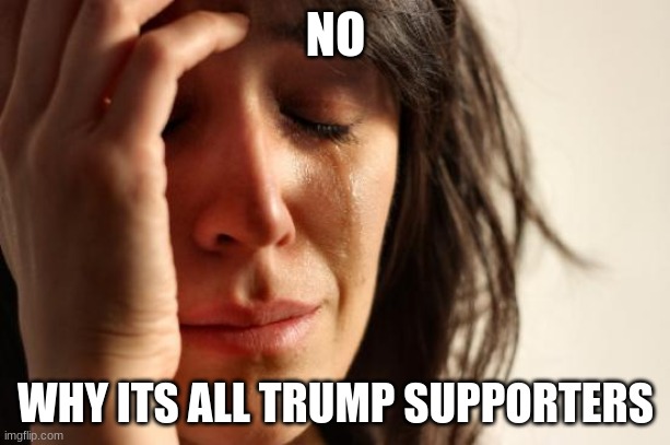 First World Problems Meme | NO WHY ITS ALL TRUMP SUPPORTERS | image tagged in memes,first world problems | made w/ Imgflip meme maker