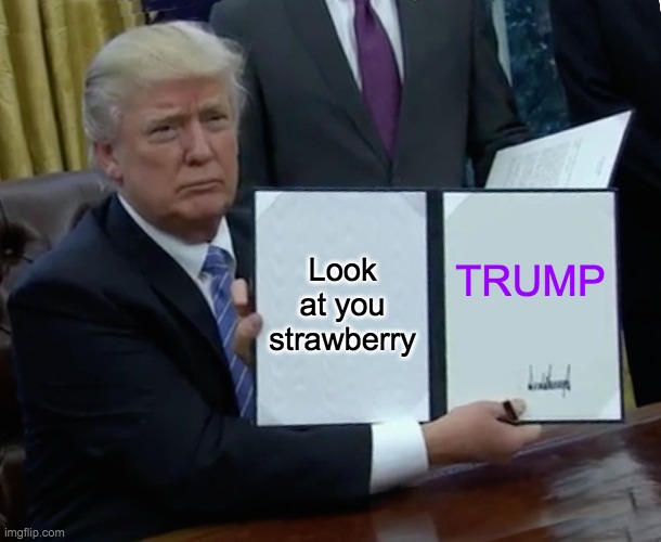 Trump Bill Signing Meme | Look at you strawberry; TRUMP | image tagged in memes,trump bill signing | made w/ Imgflip meme maker