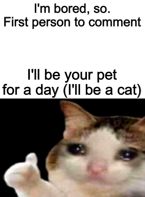 Title | I'm bored, so. First person to comment; I'll be your pet for a day (I'll be a cat) | image tagged in sad cat thumbs up white spacing | made w/ Imgflip meme maker