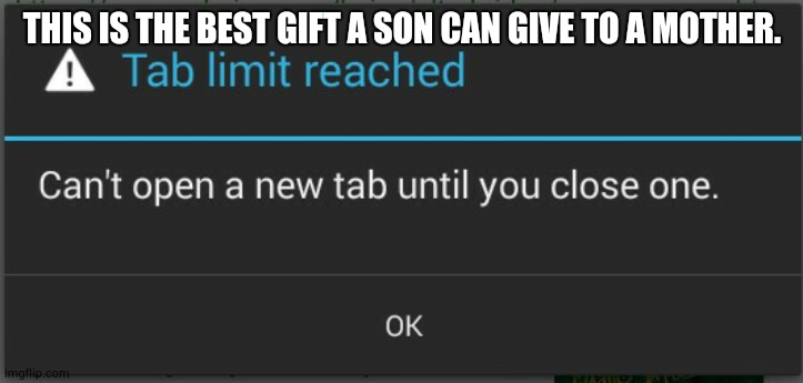 it's true | THIS IS THE BEST GIFT A SON CAN GIVE TO A MOTHER. | image tagged in not a meme | made w/ Imgflip meme maker