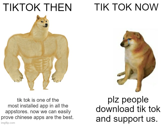 Buff Doge vs. Cheems | TIKTOK THEN; TIK TOK NOW; tik tok is one of the most installed app in all the appstores. now we can easily prove chinese apps are the best. plz people download tik tok and support us. | image tagged in fun,tik tok | made w/ Imgflip meme maker