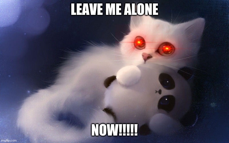 Cats when they  hiss at me | LEAVE ME ALONE; NOW!!!!! | image tagged in funny | made w/ Imgflip meme maker