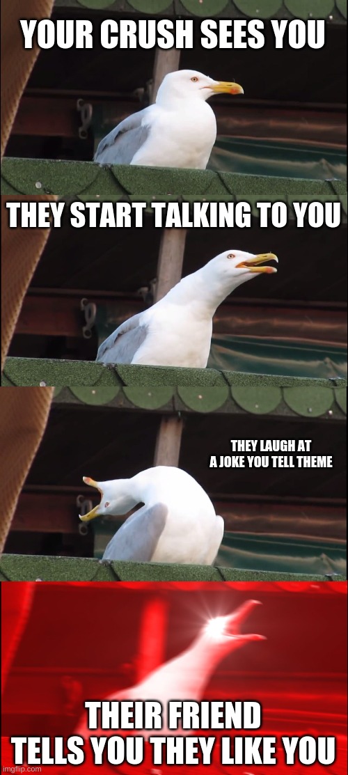 Inhaling Seagull | YOUR CRUSH SEES YOU; THEY START TALKING TO YOU; THEY LAUGH AT A JOKE YOU TELL THEME; THEIR FRIEND TELLS YOU THEY LIKE YOU | image tagged in memes,inhaling seagull | made w/ Imgflip meme maker