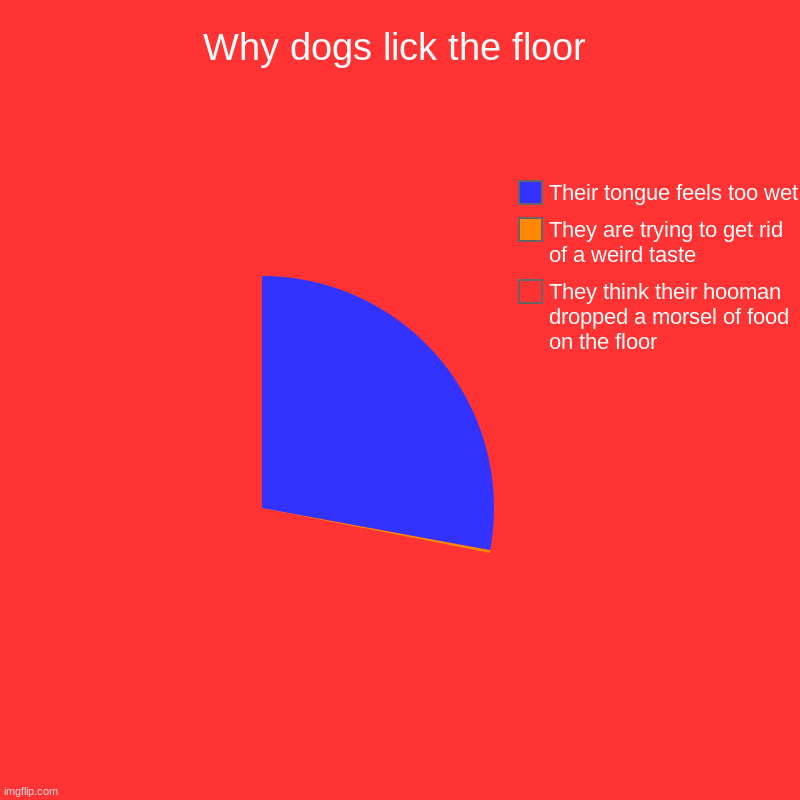 I is funny- | Why dogs lick the floor | They think their hooman dropped a morsel of food on the floor, They are trying to get rid of a weird taste, Their  | image tagged in charts,pie charts | made w/ Imgflip chart maker