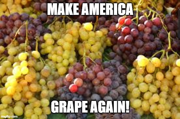 MAKE AMERICA GRAPE AGAIN! | made w/ Imgflip meme maker