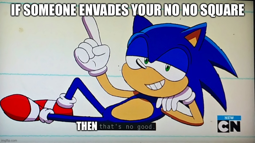 Envading no no squares is no good | IF SOMEONE ENVADES YOUR NO NO SQUARE; THEN | image tagged in ok ko sonic that's no good | made w/ Imgflip meme maker