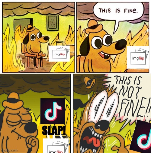 imgflip=Fine tik tok=NOT FINE!!! | SLAP! | image tagged in memes,this is fine,this is not fine | made w/ Imgflip meme maker