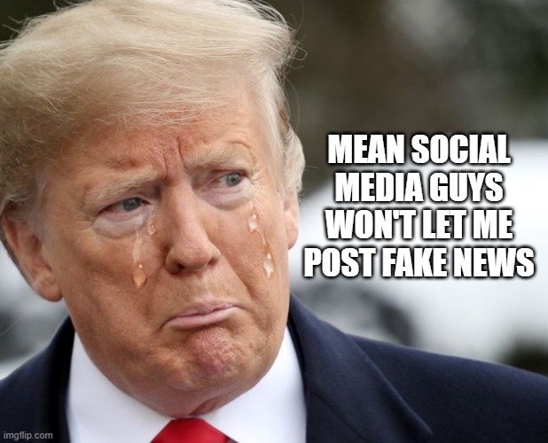 Sad Trump | MEAN SOCIAL MEDIA GUYS WON'T LET ME POST FAKE NEWS | image tagged in donald trump | made w/ Imgflip meme maker