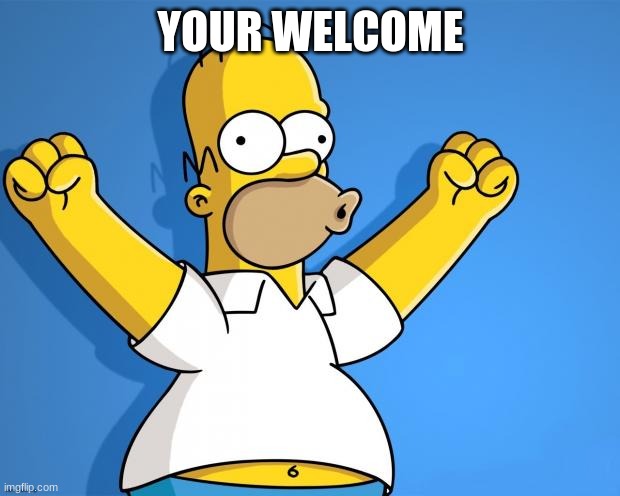 Woohoo Homer Simpson | YOUR WELCOME | image tagged in woohoo homer simpson | made w/ Imgflip meme maker