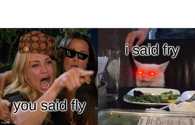 Woman Yelling At Cat | i said fry; you said fly | image tagged in memes,woman yelling at cat | made w/ Imgflip meme maker