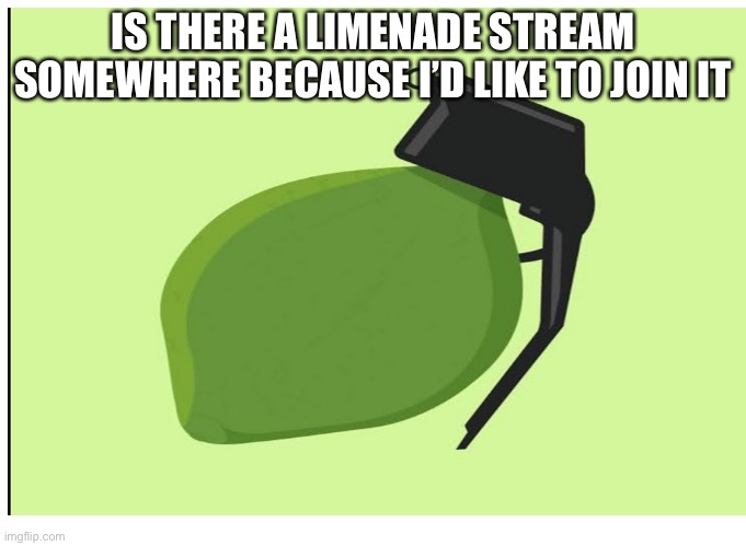 IS THERE A LIMENADE STREAM SOMEWHERE BECAUSE I’D LIKE TO JOIN IT | image tagged in memes | made w/ Imgflip meme maker
