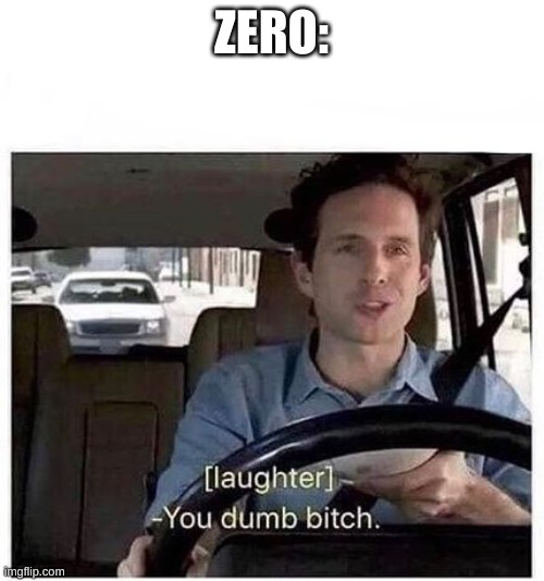 You dumb bitch | ZERO: | image tagged in you dumb bitch | made w/ Imgflip meme maker