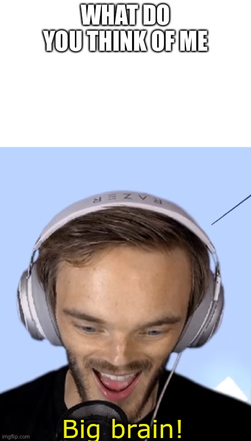 Pewdiepie big brain | WHAT DO YOU THINK OF ME | image tagged in pewdiepie big brain | made w/ Imgflip meme maker