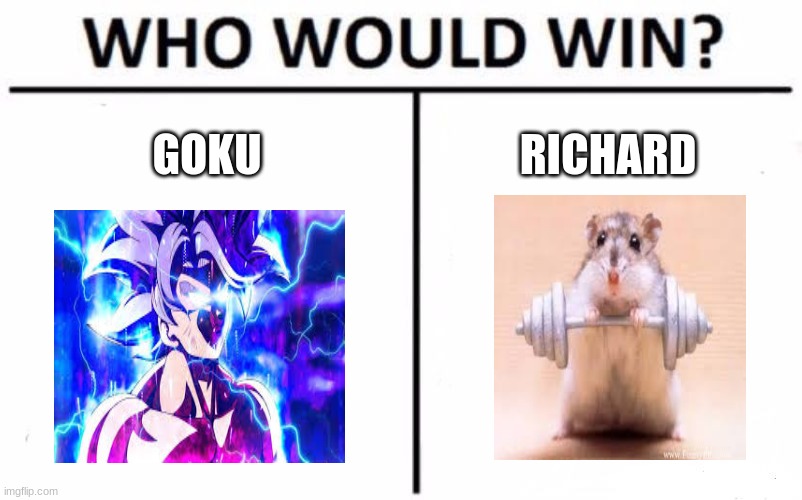 Who Would Win? Meme | GOKU; RICHARD | image tagged in memes,who would win | made w/ Imgflip meme maker