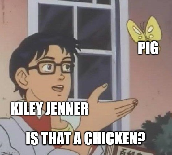 hahahaha | PIG; KILEY JENNER; IS THAT A CHICKEN? | image tagged in memes,is this a pigeon | made w/ Imgflip meme maker