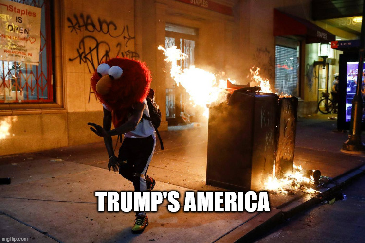 Trump's America | TRUMP'S AMERICA | image tagged in donald trump,elmo | made w/ Imgflip meme maker