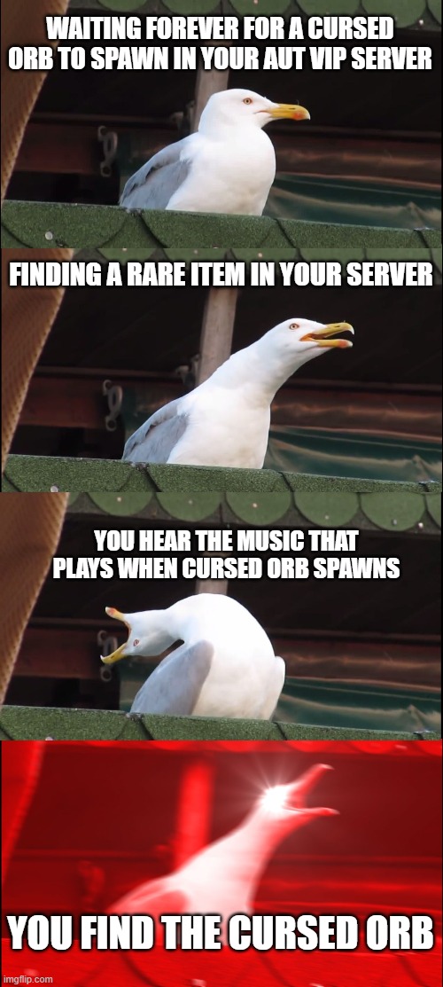 Waiting for a cursed orb in AUT in a nutshell | WAITING FOREVER FOR A CURSED ORB TO SPAWN IN YOUR AUT VIP SERVER; FINDING A RARE ITEM IN YOUR SERVER; YOU HEAR THE MUSIC THAT PLAYS WHEN CURSED ORB SPAWNS; YOU FIND THE CURSED ORB | image tagged in memes,inhaling seagull,roblox aut | made w/ Imgflip meme maker