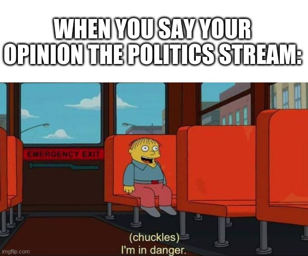 i never go there because its the reason i deleted my first account | WHEN YOU SAY YOUR OPINION THE POLITICS STREAM: | image tagged in i'm in danger blank place above | made w/ Imgflip meme maker