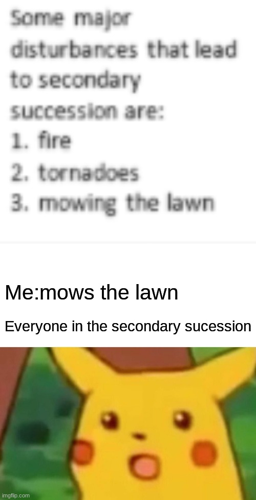 waitn wut | Me:mows the lawn; Everyone in the secondary sucession | image tagged in memes,surprised pikachu | made w/ Imgflip meme maker