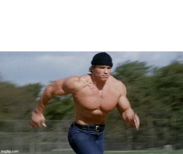 arnold schwarzenegger time travell | image tagged in meme template | made w/ Imgflip meme maker