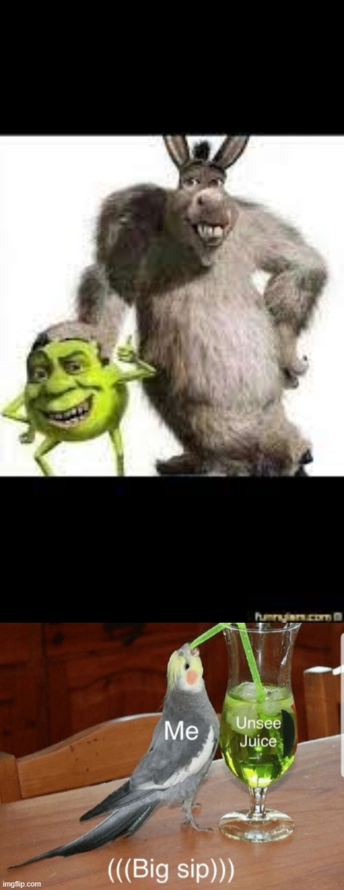 ahhhhhhhhhhhhhhhhhhhhhhhhhhhhhhhhhhhhhhhhhhhhhhhhhhhhhhhhhhhhhhhhhhhhhhhhhhhhhhhhhhhhhhhhhhhh | image tagged in unsee juice,funny,funny memes,shrek | made w/ Imgflip meme maker