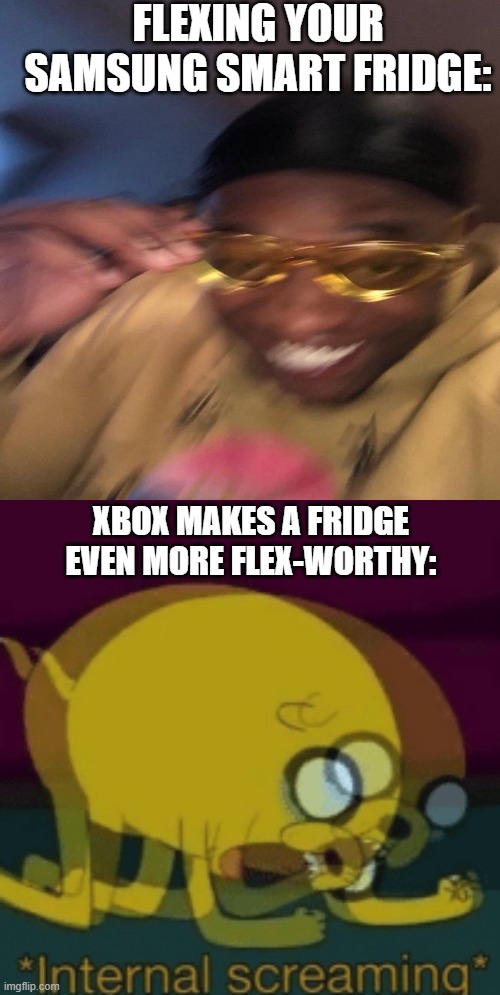 We Got Em! Xbox made a fridge. | FLEXING YOUR SAMSUNG SMART FRIDGE:; XBOX MAKES A FRIDGE EVEN MORE FLEX-WORTHY: | image tagged in jake the dog internal screaming,memes,funny,samsung smart fridge,flex | made w/ Imgflip meme maker