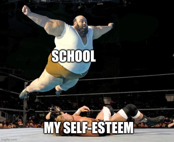 Fat wrestler | SCHOOL; MY SELF-ESTEEM | image tagged in fat wrestler | made w/ Imgflip meme maker