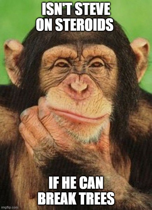 Thinking monkey  | ISN'T STEVE ON STEROIDS; IF HE CAN BREAK TREES | image tagged in thinking monkey | made w/ Imgflip meme maker