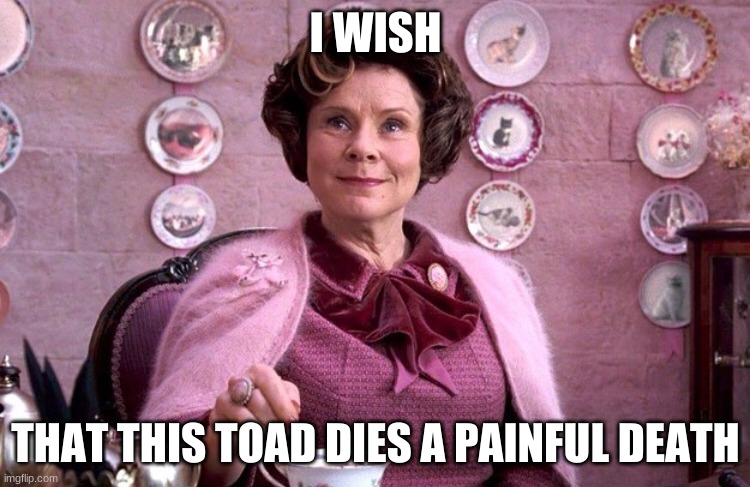 Wishes | I WISH; THAT THIS TOAD DIES A PAINFUL DEATH | image tagged in umbridge | made w/ Imgflip meme maker