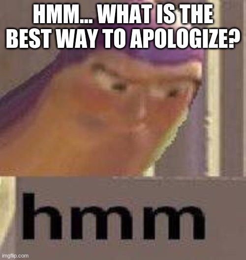 Buzz Lightyear Hmm | HMM... WHAT IS THE BEST WAY TO APOLOGIZE? | image tagged in buzz lightyear hmm | made w/ Imgflip meme maker