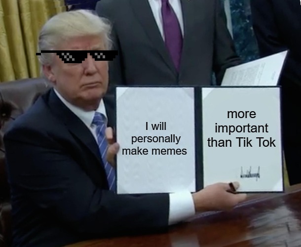 Trump Bill Signing Meme | I will personally make memes; more important than Tik Tok | image tagged in memes,trump bill signing | made w/ Imgflip meme maker