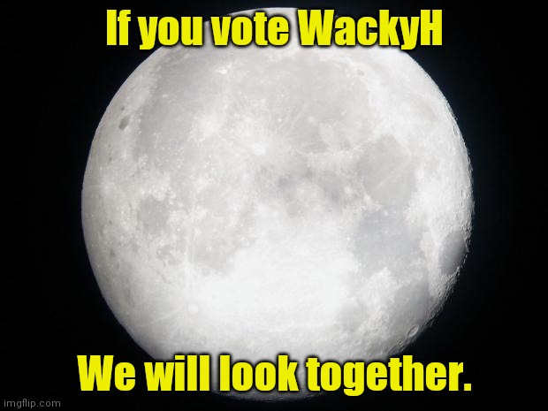 Made a spicy Local 58 meme if Kris does upload this Halloween. | If you vote WackyH; We will look together. | image tagged in full moon,local 58,wackyh | made w/ Imgflip meme maker