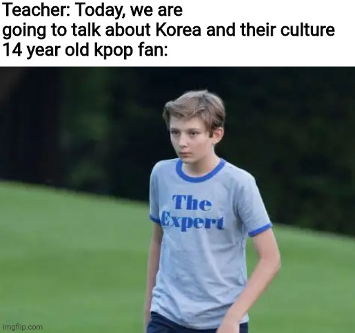 The Expert | Teacher: Today, we are going to talk about Korea and their culture
14 year old kpop fan: | image tagged in the expert,memes,kpop,korea,teacher | made w/ Imgflip meme maker