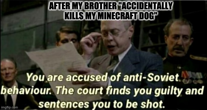 yezz sire | AFTER MY BROTHER "ACCIDENTALLY KILLS MY MINECRAFT DOG" | image tagged in anti-soviet behaviour | made w/ Imgflip meme maker