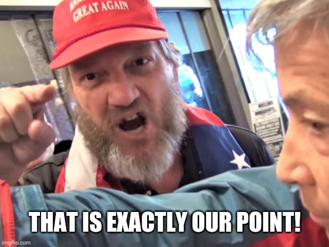 Angry Trump Supporter | THAT IS EXACTLY OUR POINT! | image tagged in angry trump supporter | made w/ Imgflip meme maker