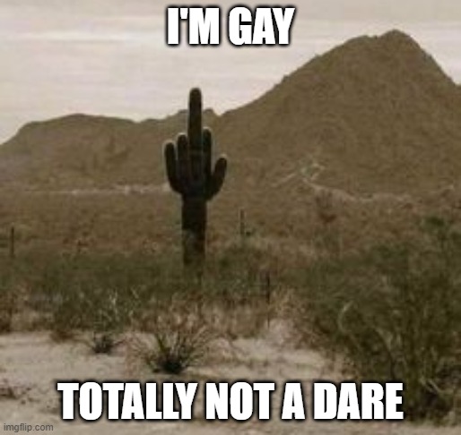 Cactus middle finger | I'M GAY; TOTALLY NOT A DARE | image tagged in cactus middle finger | made w/ Imgflip meme maker