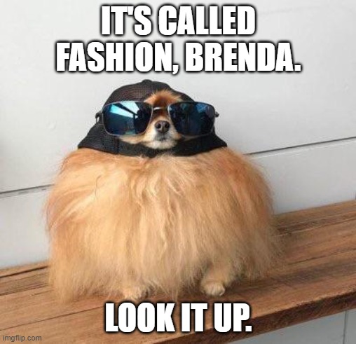 IT'S CALLED FASHION, BRENDA. LOOK IT UP. | made w/ Imgflip meme maker