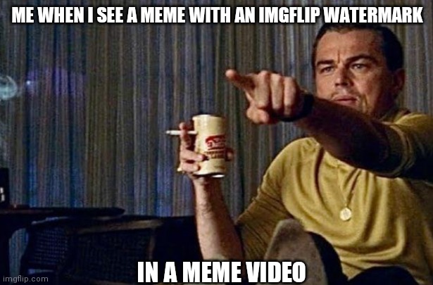 Leonardo pointing | ME WHEN I SEE A MEME WITH AN IMGFLIP WATERMARK; IN A MEME VIDEO | image tagged in leonardo pointing | made w/ Imgflip meme maker