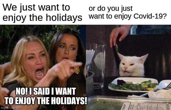 enjoy | We just want to enjoy the holidays; or do you just want to enjoy Covid-19? NO! I SAID I WANT TO ENJOY THE HOLIDAYS! | image tagged in memes,woman yelling at cat | made w/ Imgflip meme maker
